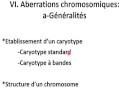 Cours N° 8: Aberrations chromosomiques: – Généralités