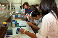 Atelier de biologie moléculaire part2 