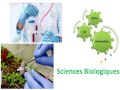 Portes ouvertes sur les Sciences Biologiques de la Faculté SNV ( BAC 2022)