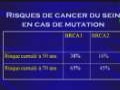 Oncogénétique et cancer du sein