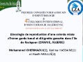 Communication présentée par GHERMAOUI Mohammed (Univ. Tlemcen, Algérie)
