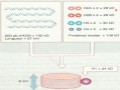 Cours N°21: Organisation de l’ADN en chromosome