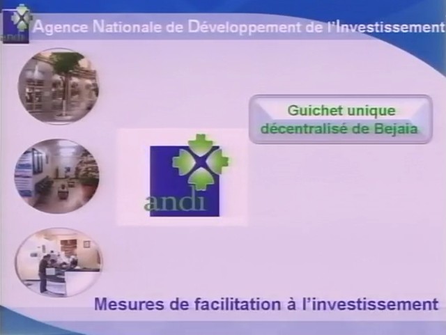 Des opportunités d&rsquo;investissement, Communication présentée par Mr AOUAM