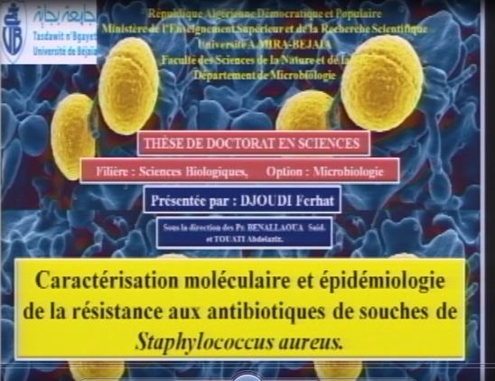 Soutenance doctorat en microbiologie de M. DJOUDI Ferhat