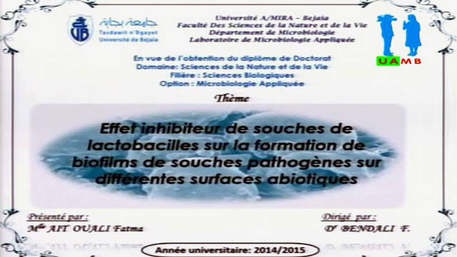 Soutenance de doctorat de Mlle AIT OUALI Fatma