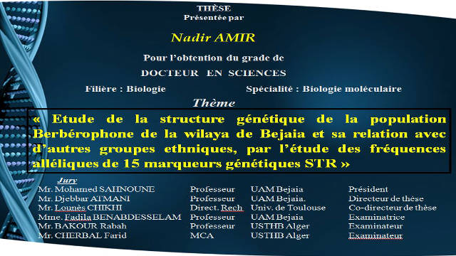 Débat soutenance doctorat de M. AMIR Nadir, part3