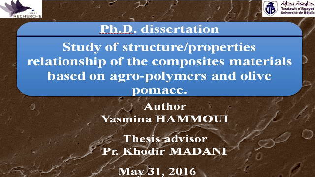 Soutenance de doctorat de Mme HAMMOUI Yasmina