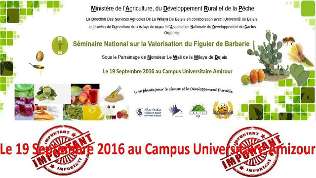 Conférence du Pr MADANI Khodir, université de Béjaia