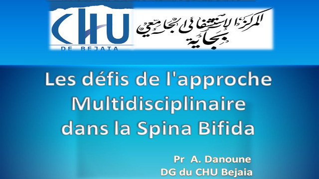 Communication du Pr DANOUNE A/Malek, DG CHU Bejaia