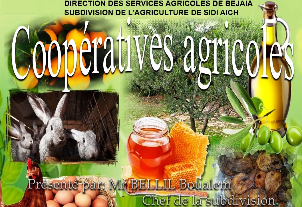 Communication de M. BELLIL Boualam, ingénieur agronome, Subdivisionnaire de Sidi-Aich