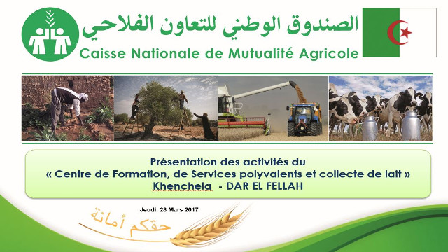 Communication de M. YAHIA CHERIF Athmane, Chef division technique, CRMA Bejaia