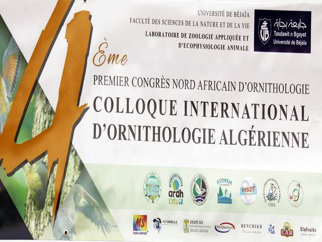 Débat, Oiseaux du littoral atlantique et  de Méditerranée