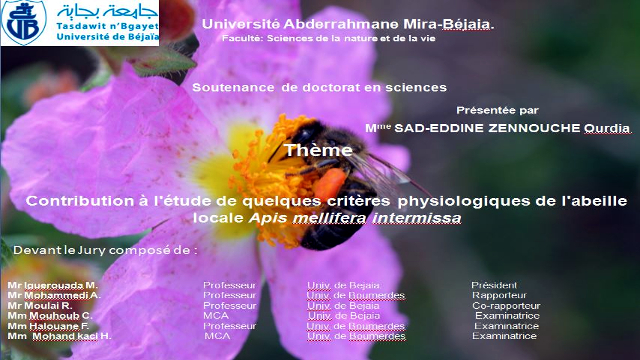 Débat 3, soutenance de doctorat, Sad-eddine Zennouche Ourdia