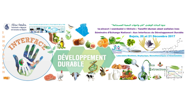 Débat, Séminaire d’Echange National: Aux Interfaces du Développement Durable SENIDD 2017 (02)