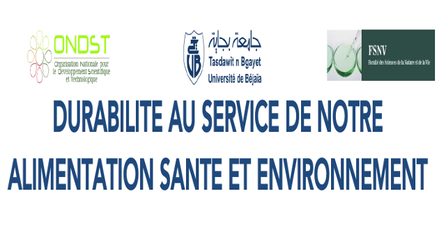 Clôture séminaire doctoral, « durabilité »