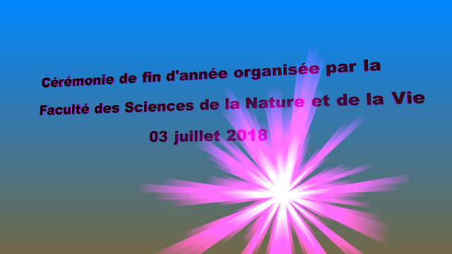 Cérémonie  fin d&rsquo;année, FSNV part 02