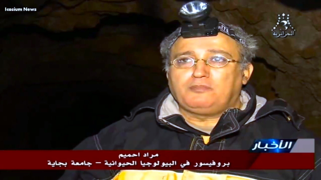 مغارة أوقاس  ملجأ لخمسة و عشرين نوعا من الخفافيش