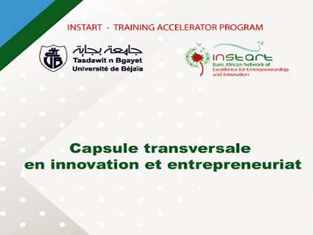 Reportage sur les journées de  formation sur le Projet INSTART  » Capsule transversale en innovation et entrepreneuriat ».