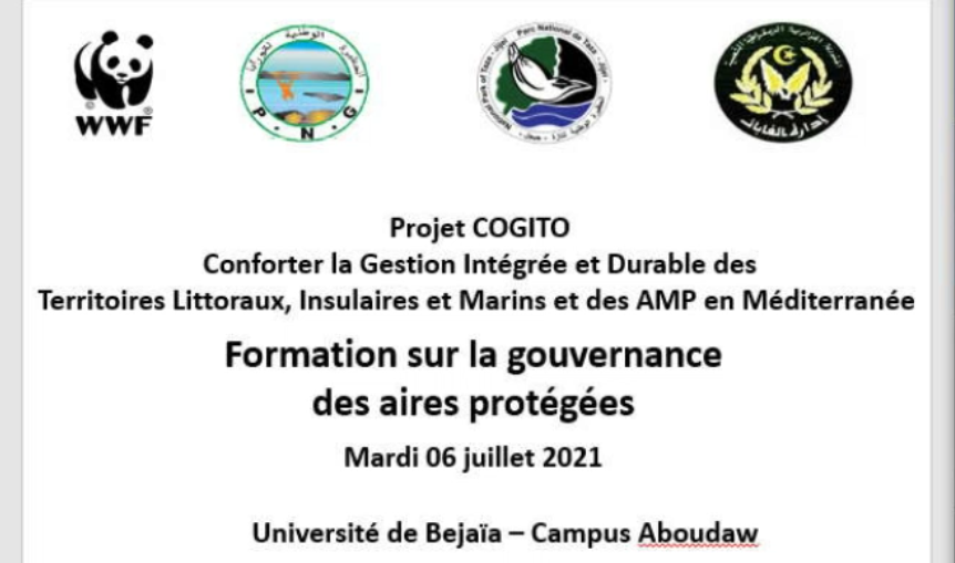 Visioconférence animée par: Madame Marwa DOUMA de Tunisie