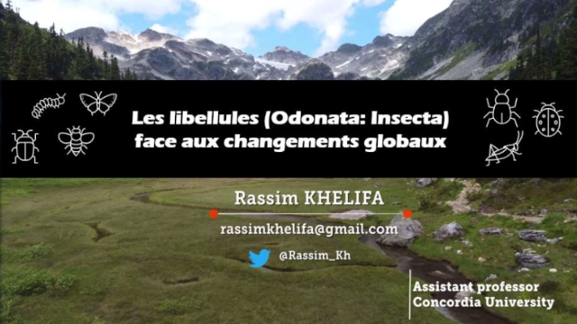 Débat, conf Pr. KHELIFA R., université de Concordia, Canada