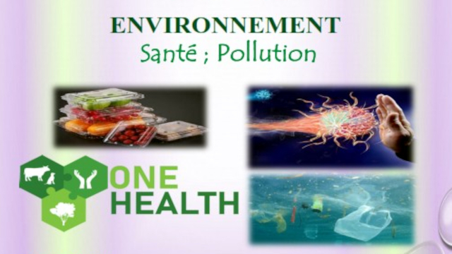 Pollution marine, par Pr RAMDANE Zouhir