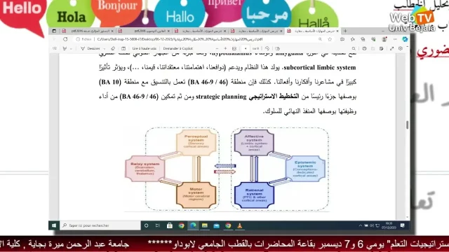 محاضرة د/ أحمد محمد عبد المنعم عطية, (المدير التنفيذي لمختبر القاهرة للعرفانيات واللسانيات التداولية. القاهرة)