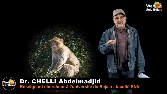 Étude scientifique sur le conflit entre l’agriculture et le singe magot à Béjaïa