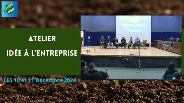 Atelier: idée à l’entreprise, témoignages, partages, stratégies, conseils